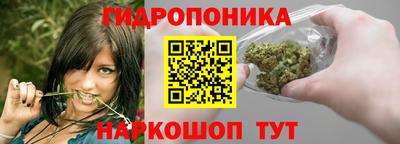 PSILOCYBIN Гатчина