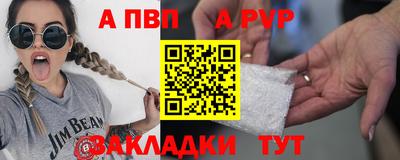 шишки Дубна