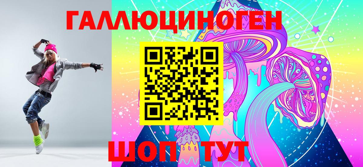 Галлюциногенные грибы Psilocybine cubensis Миасс