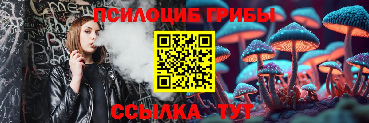 магазин продажи   Вход с VPN  Миасс  Галлюциногенные грибы Psilocybine cubensis 